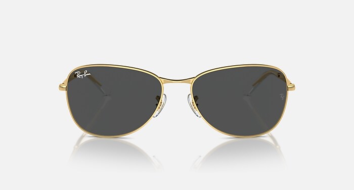 レイバン公式ストア】 Ray-Ban® RB3733 TRANSITIONS® サングラス