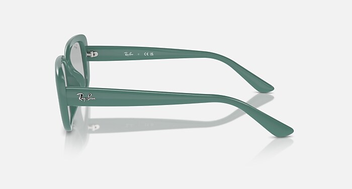 レイバン公式ストア】 Ray-Ban® RB4421D BIO-BASED サングラス