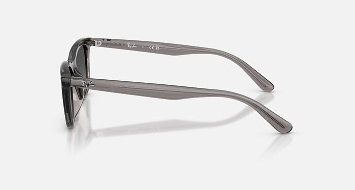 小物 Ray-Ban sunglasses gray clear Wayfarers RB4474D Sunglasses in Transparent Dark Grey and Gradient Grey (54
