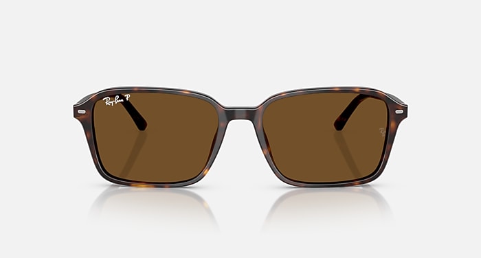 RAIMOND Sunglasses in Havana and Brown Polarized - RB2231F  display picture 1