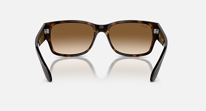 RB4388 Sunglasses in Havana and Clear & Brown (55-18) - RB4388