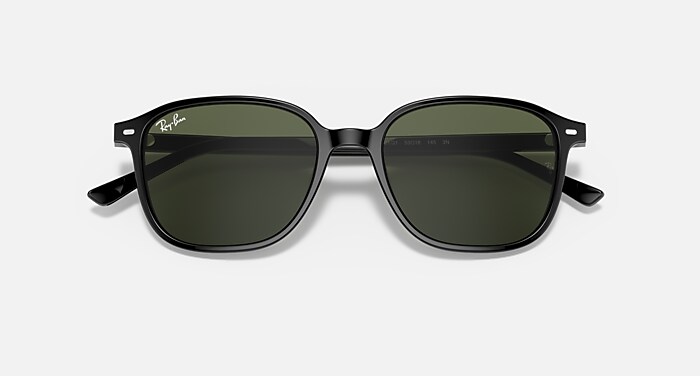 LEONARD Sunglasses in Black and G-15 Green (53-18) - RB2193 | Ray