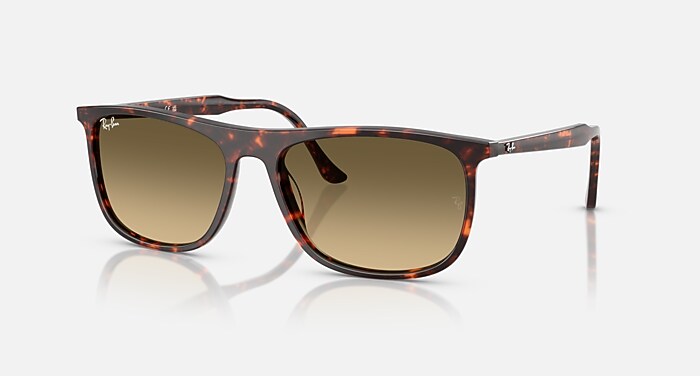 RAY-BAN RB4222 50-21 Brown Round Havana Rubber Tortoise Youngster Sunglasses RB4222 Sunglasses in Havana and Brown Gradient (50-21  main image 4