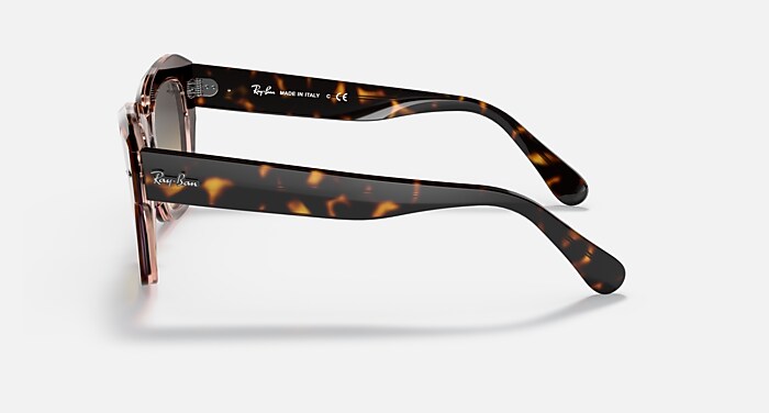 STATE STREET Sunglasses in Havana On Transparent Pink and  display picture 3