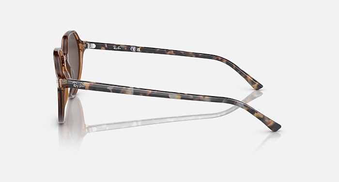 レイバン THALIA 公式サイト完売 サングラス イタリア製メガネ 付属品有り THALIA Sunglasses in Transparent Brown and Gold (53-18) - RB2195