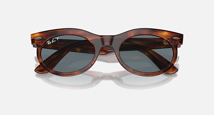 レイバン公式ストア】 Ray-Ban® WAYFARER OVAL サングラス 