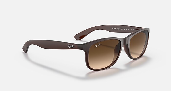 ANDY Sunglasses in Brown and Brown Gradient (55-17) - RB4202 | Ray