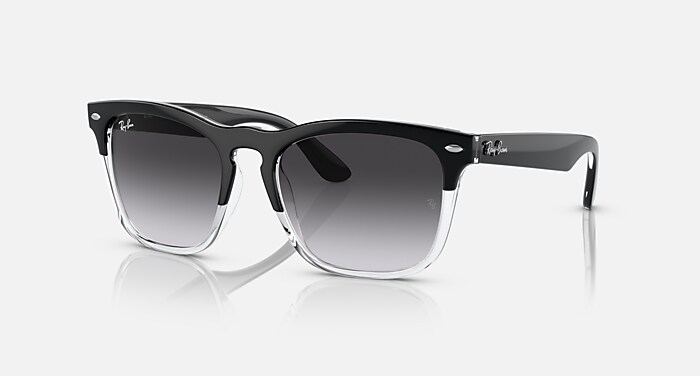 STEVE Sunglasses in Black On Transparent and Grey - RB4487 | Ray 