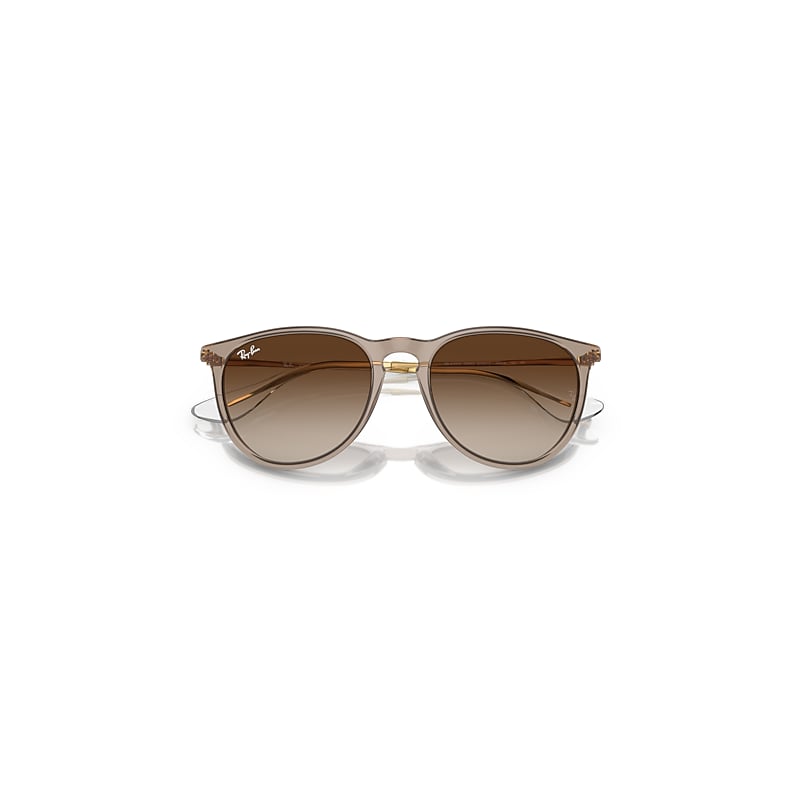 ERIKA CLASSIC Sunglasses in Transparent Light Brown and Brown (54