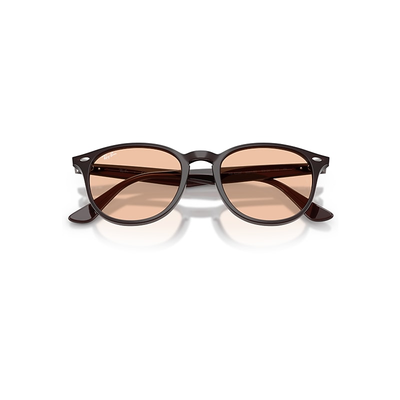 RB4259 Sunglasses in Transparent Brown and Brown (53-20) - RB4259F
