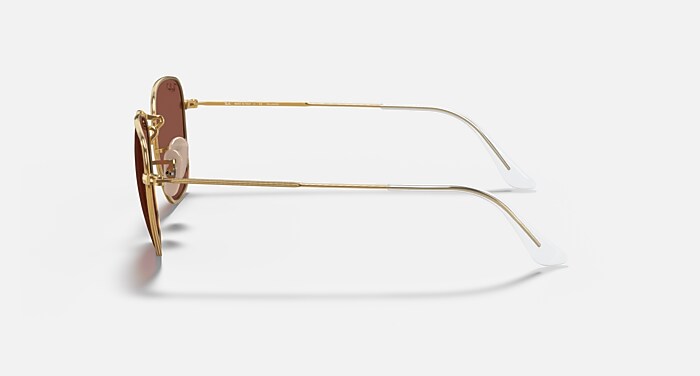 FRANK Polarized Sunglasses in Legend Gold and Purple (48-20