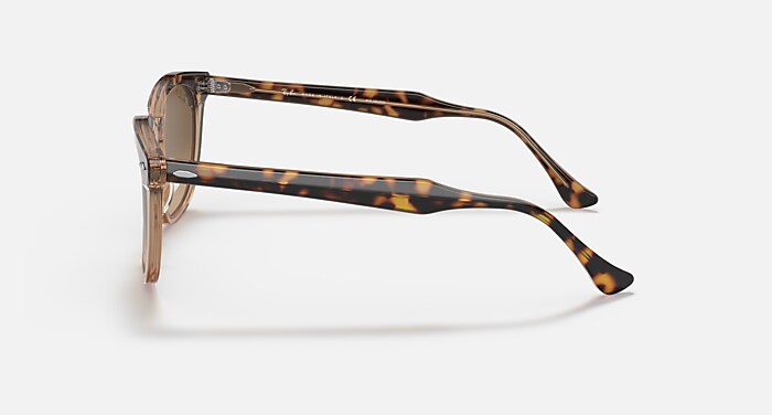 HAWKEYE Polarized Sunglasses in Havana On Transparent Brown and
