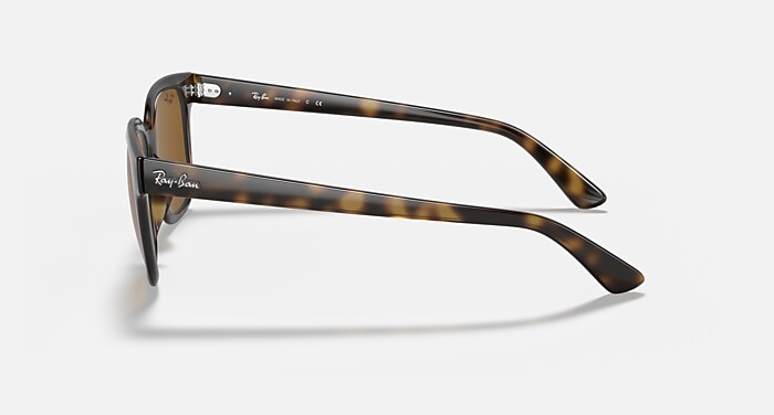 RB4323 Sunglasses in Light Havana and B-15 Brown (51-20) - RB4323