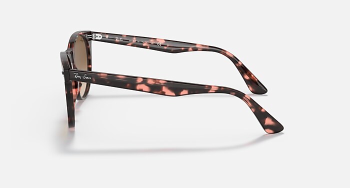 WAYFARER II FLECK Sunglasses in Pink Havana and Light Brown