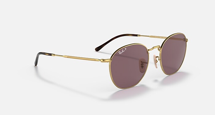 ROB Sunglasses in Arista Gold and Dark Violet Polarized - RB3772
