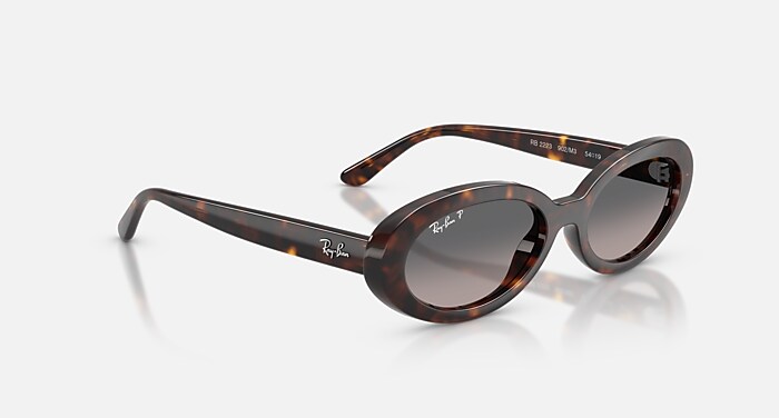 RB2223 Polarized Sunglasses in Havana and Grey Gradient Polarized