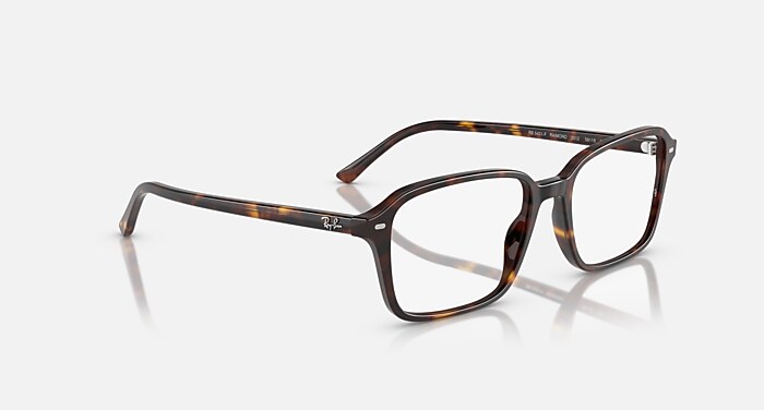 RAIMOND OPTICS メガネ ハバナ と クリア (54-18) - RB5431F