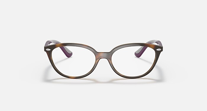 RB1612 OPTICS KIDS Polarized Eyeglasses with Havana and Clear (48