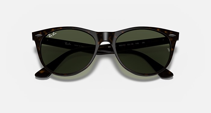 WAYFARER II CLASSIC Sunglasses in Tortoise and G-15 Green (52-18