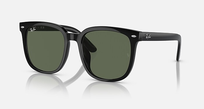 レイバン公式ストア】 Ray-Ban® RB4401D サングラス | ブラック X 