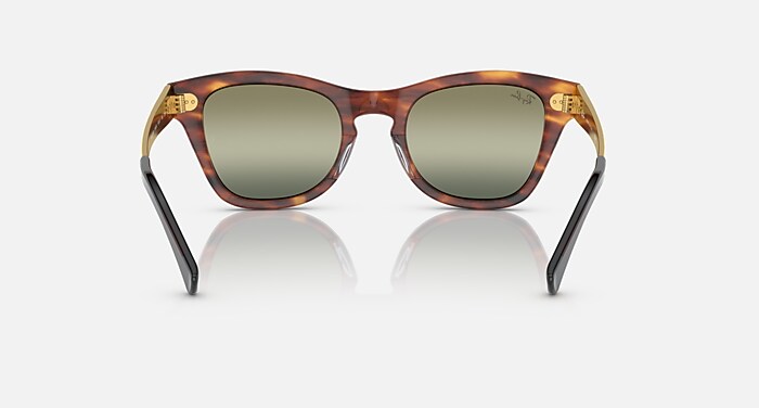 RB0707SM Sunglasses in Striped Havana and Green (50-21) - RB0707SM