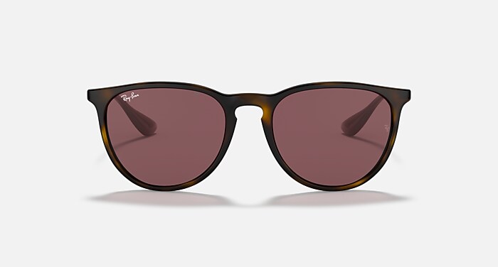 ERIKA COLOR MIX Sunglasses in Havana and Dark Violet (54-18