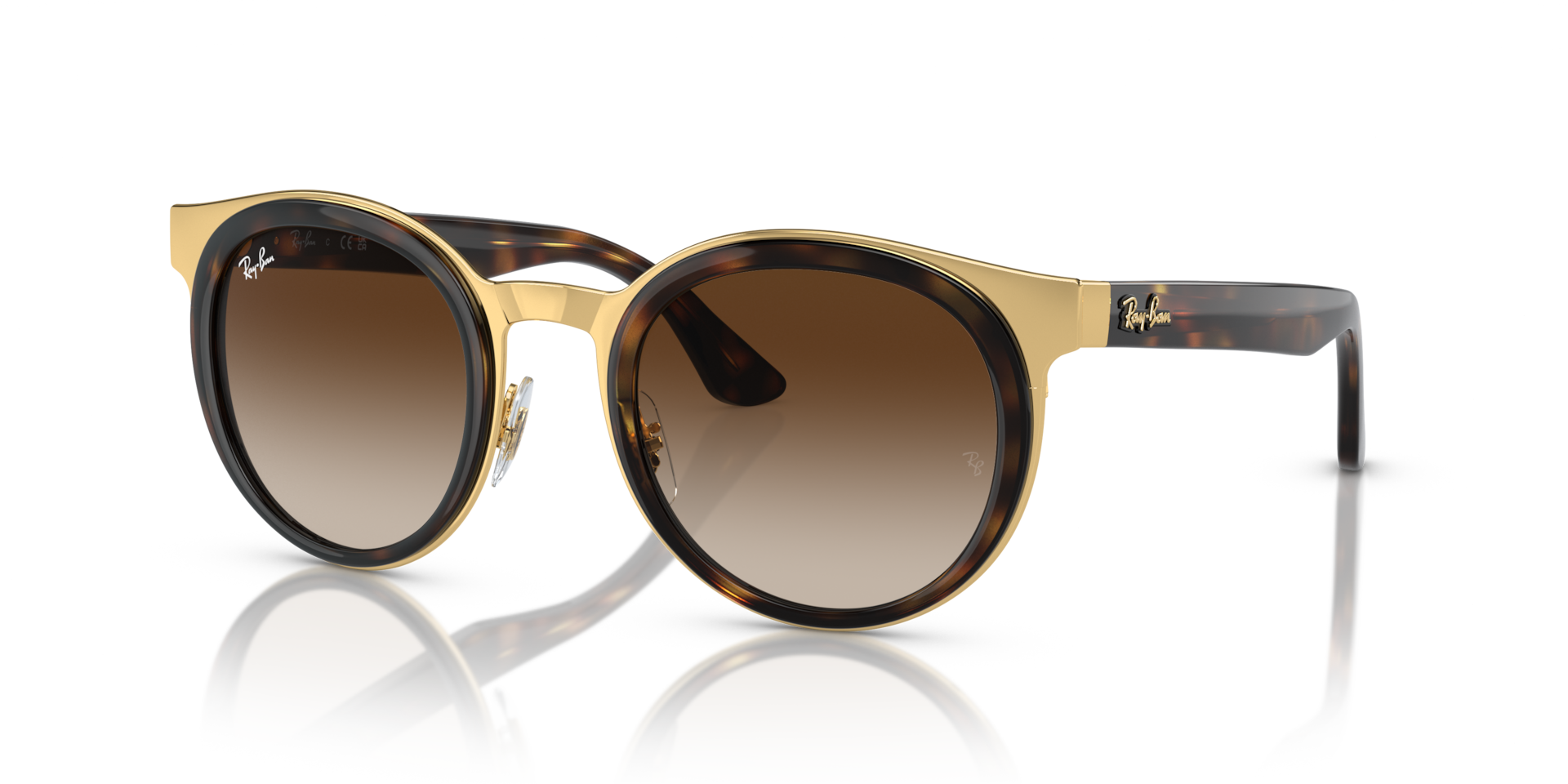 BONNIE — Havana On Gold / Brown