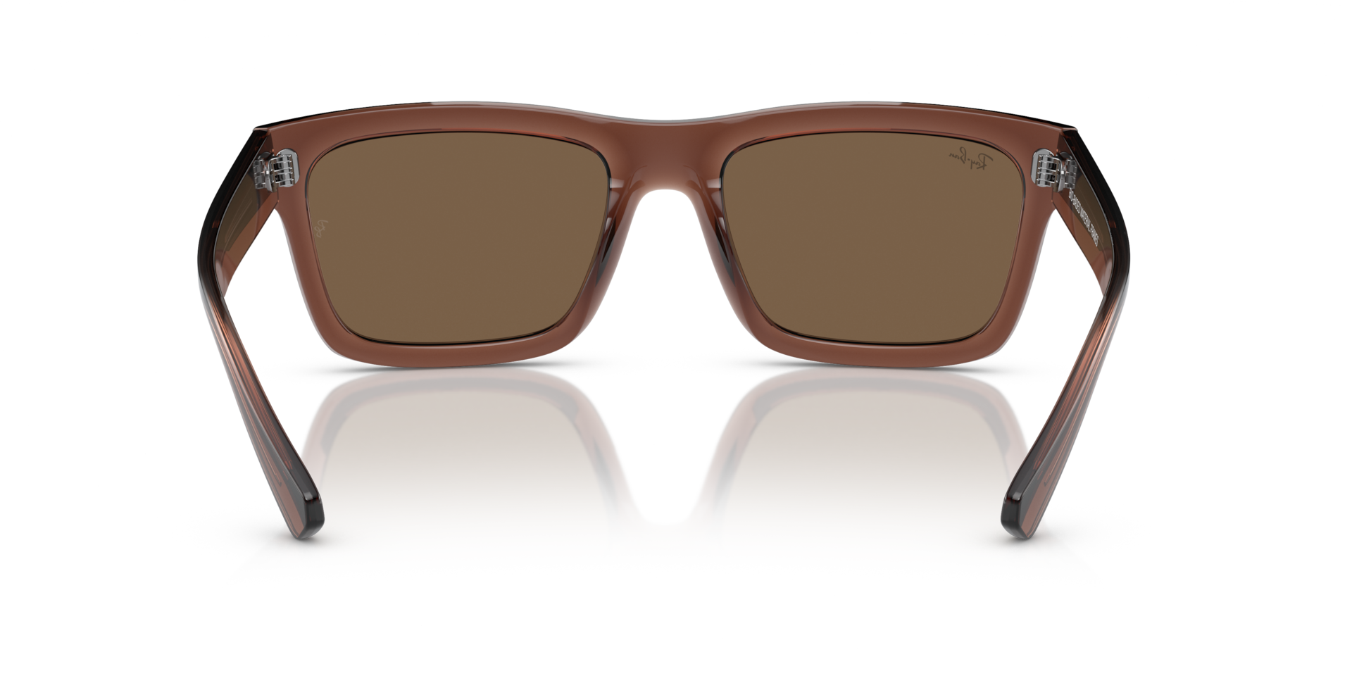 WARREN BIO-BASED Sunglasses in Transparent Brown and Dark Brown