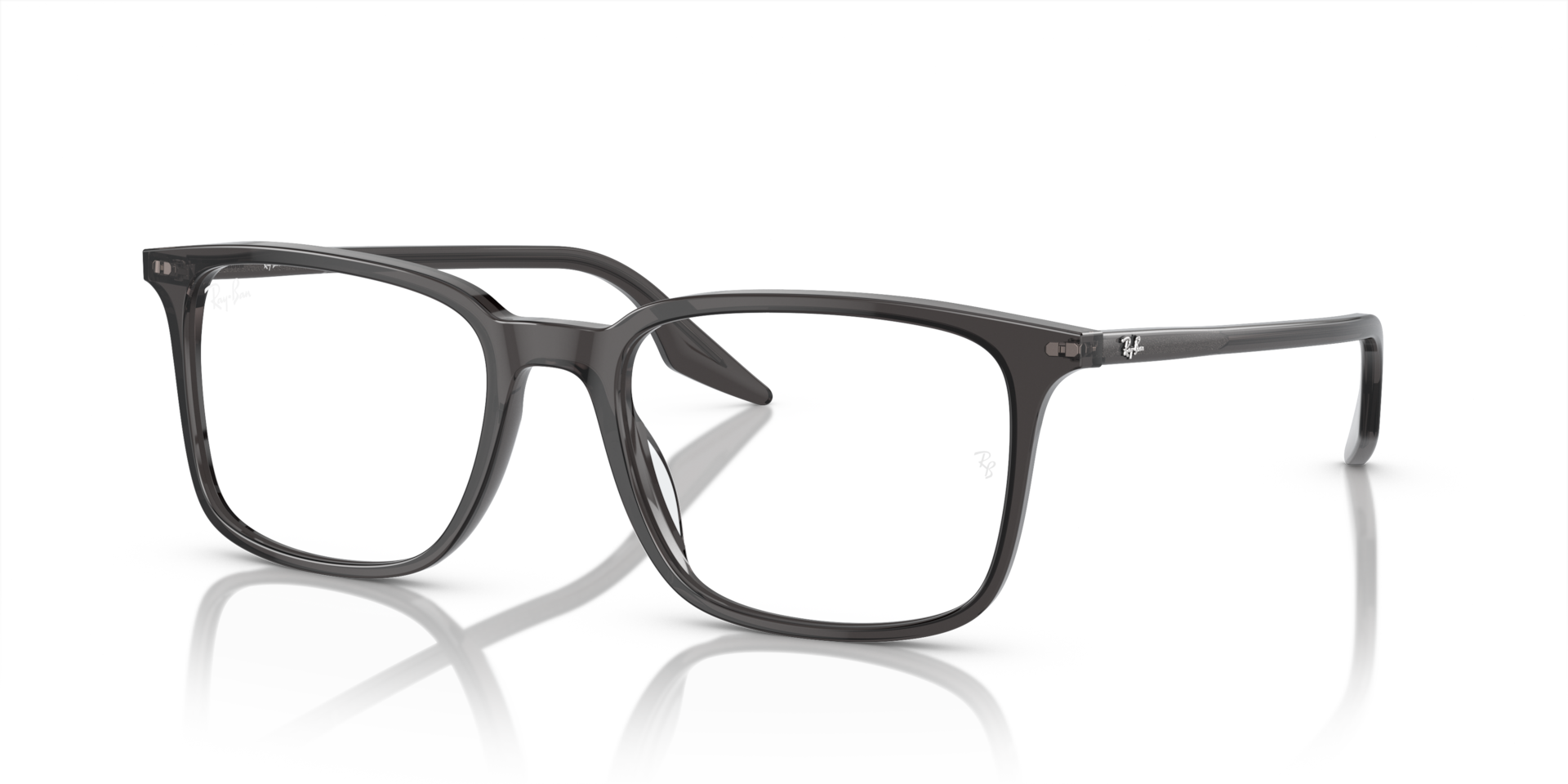 RB5421 OPTICS — Transparent Black / Clear