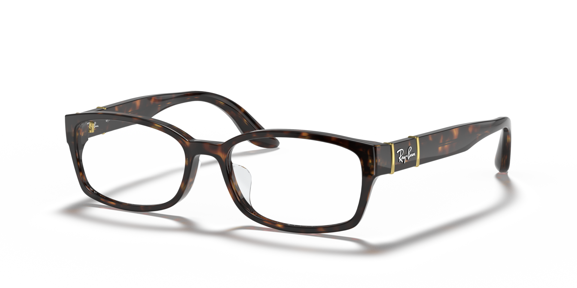 RB5198 OPTICS — Tortoise / Clear