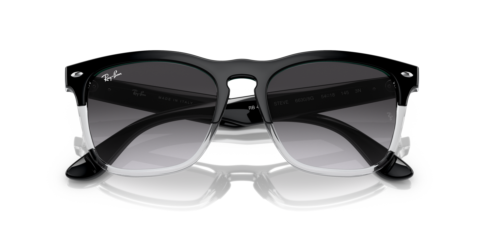 STEVE Sunglasses in Black On Transparent and Grey - RB4487 | Ray 