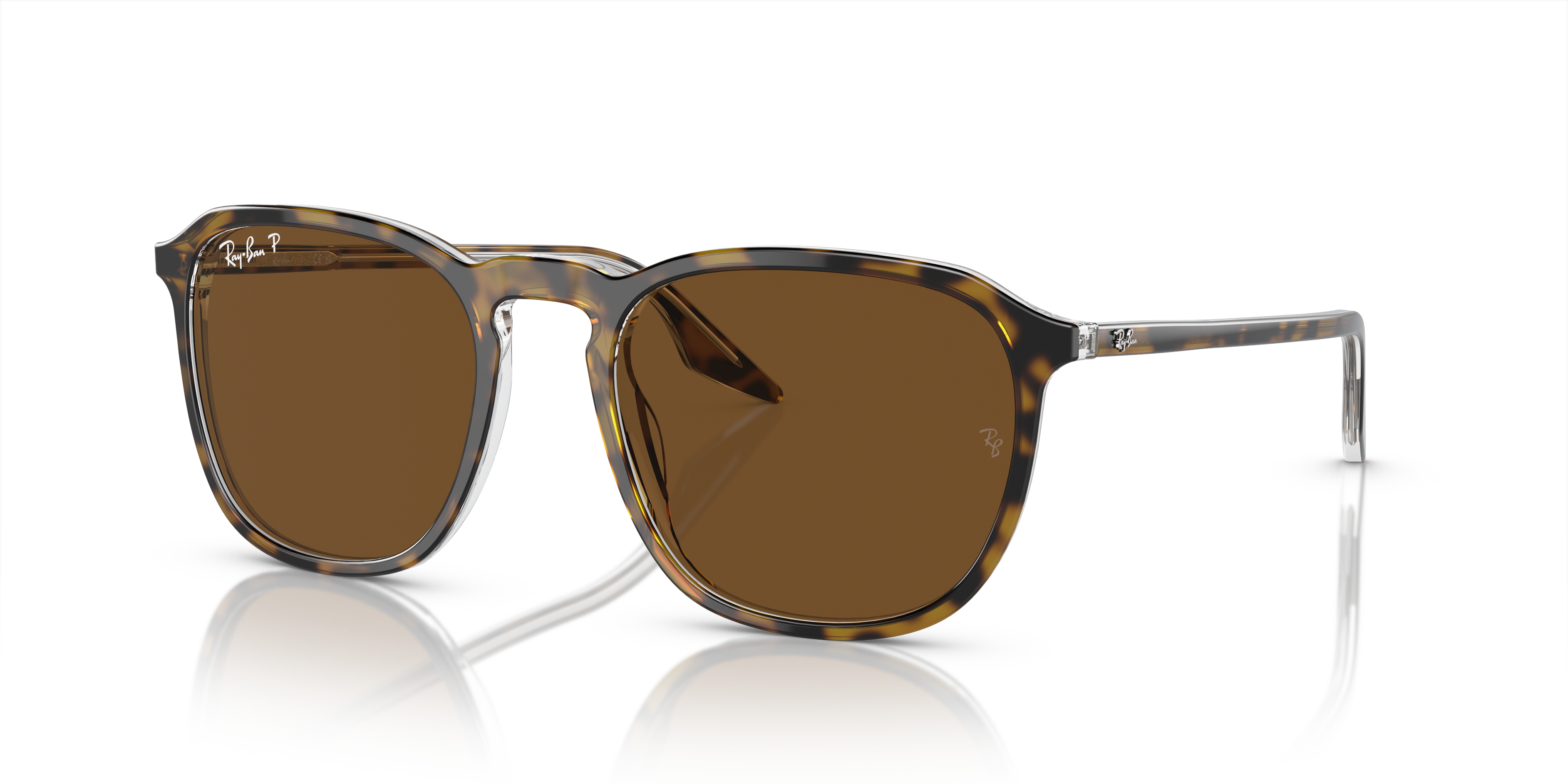 Rb2203 Polarized Sunglasses in Polished Havana and Brown Polarized (55 ...